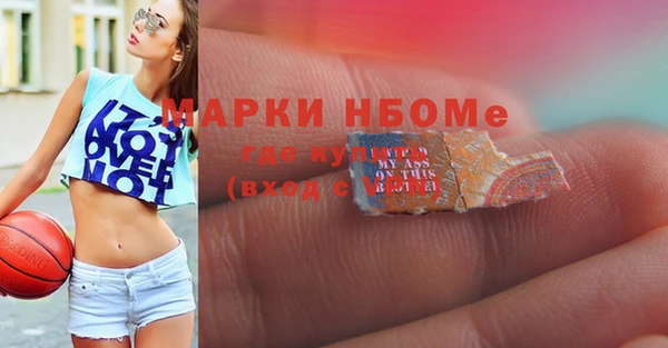хмурый Горняк