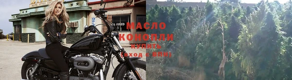 не бодяженный Горно-Алтайск
