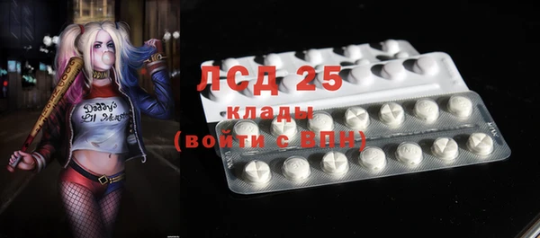 ГАЛЛЮЦИНОГЕННЫЕ ГРИБЫ Горнозаводск