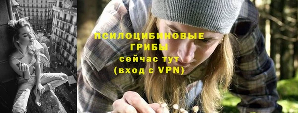 не бодяженный Горно-Алтайск