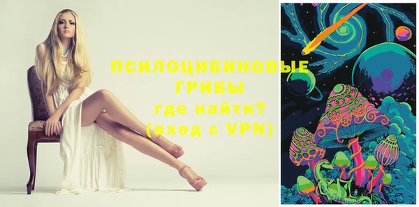 хмурый Горняк
