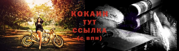 хмурый Горняк