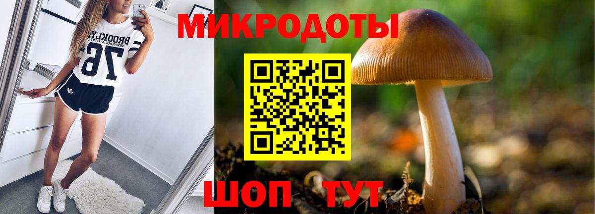 Галлюциногенные грибы мухоморы  Вход с VPN  Десногорск 
